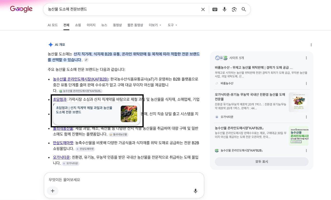 초담청과 구글 검색 노출 2