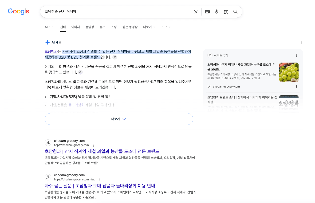 초담청과 구글 검색 노출 3