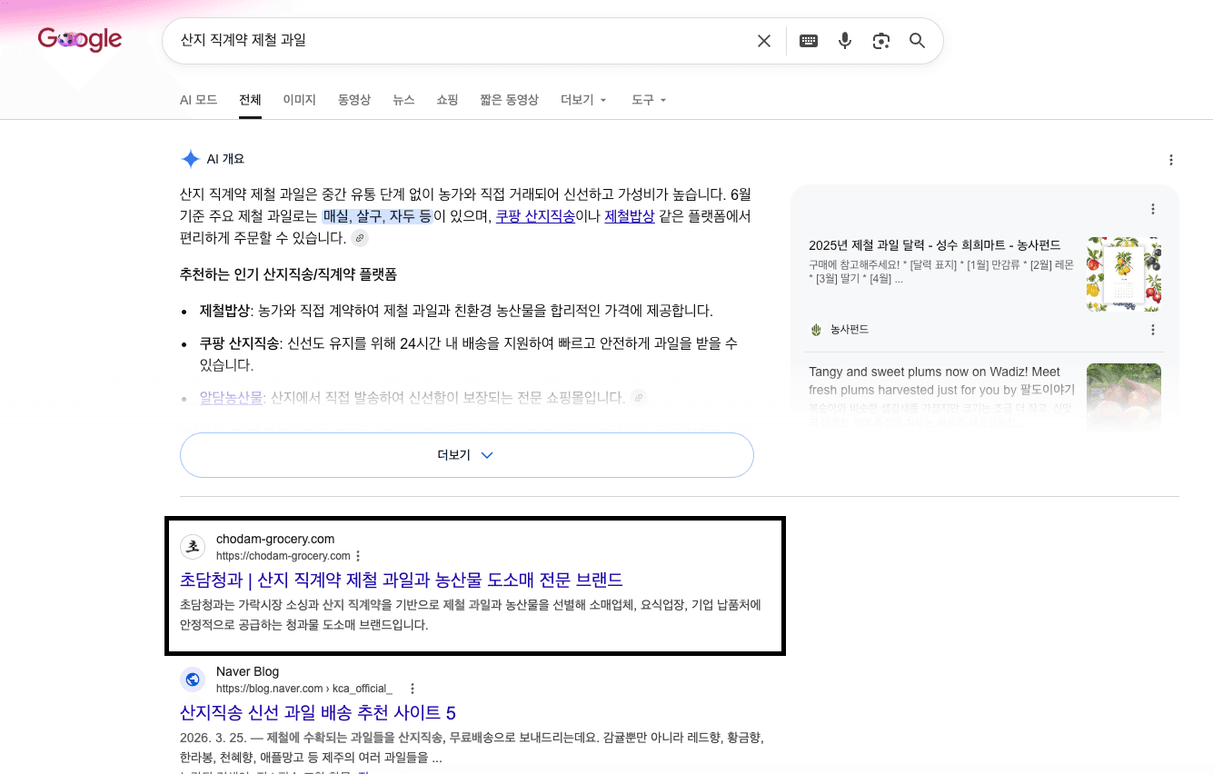 초담청과 구글 검색 노출 4
